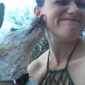 Meet your Posher, Laurel